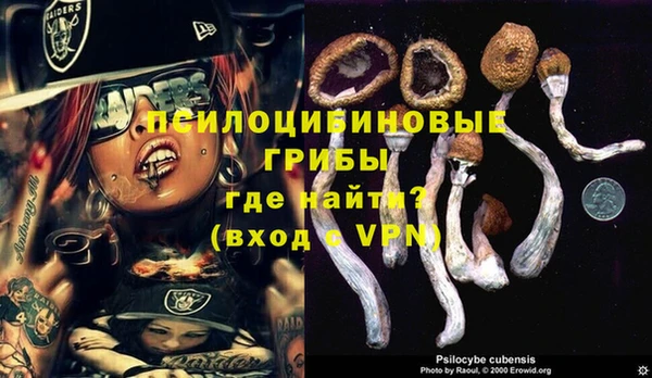 МДПВ Магадан
