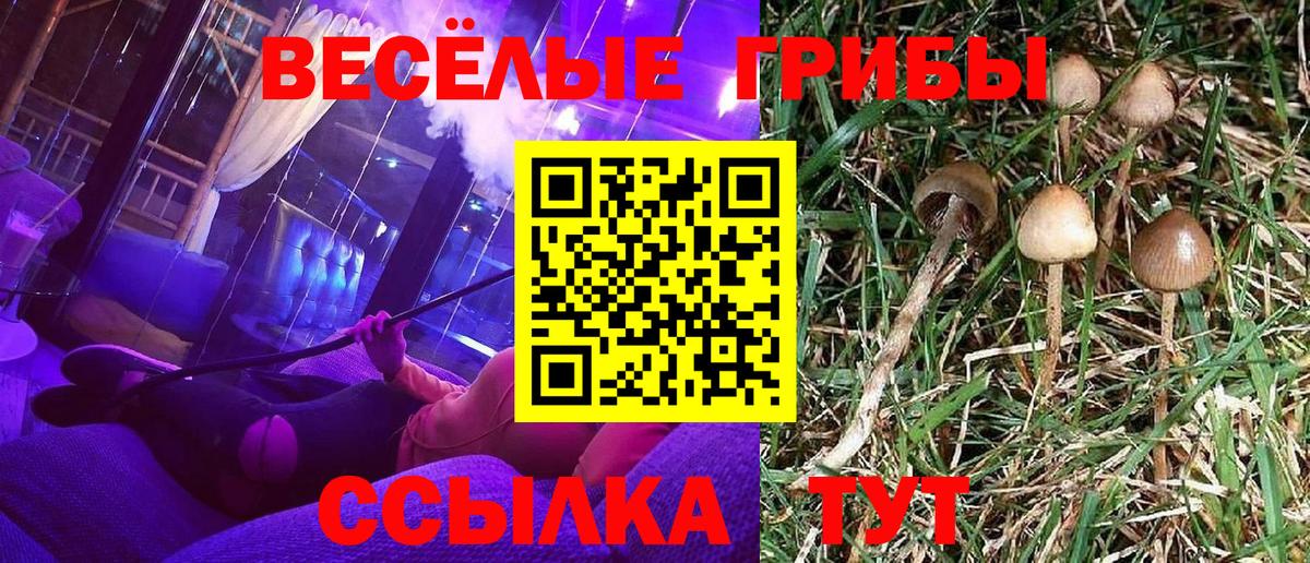 Галлюциногенные грибы Psilocybe  Галлюциногенные грибы ЛСД  Вход с VPN  Тюмень 